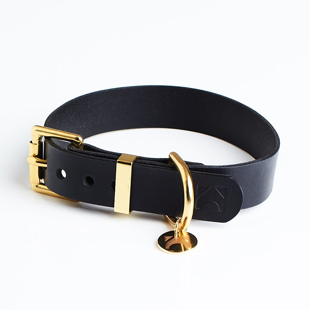 Black leather classic dog collar with brass hardware on a white background