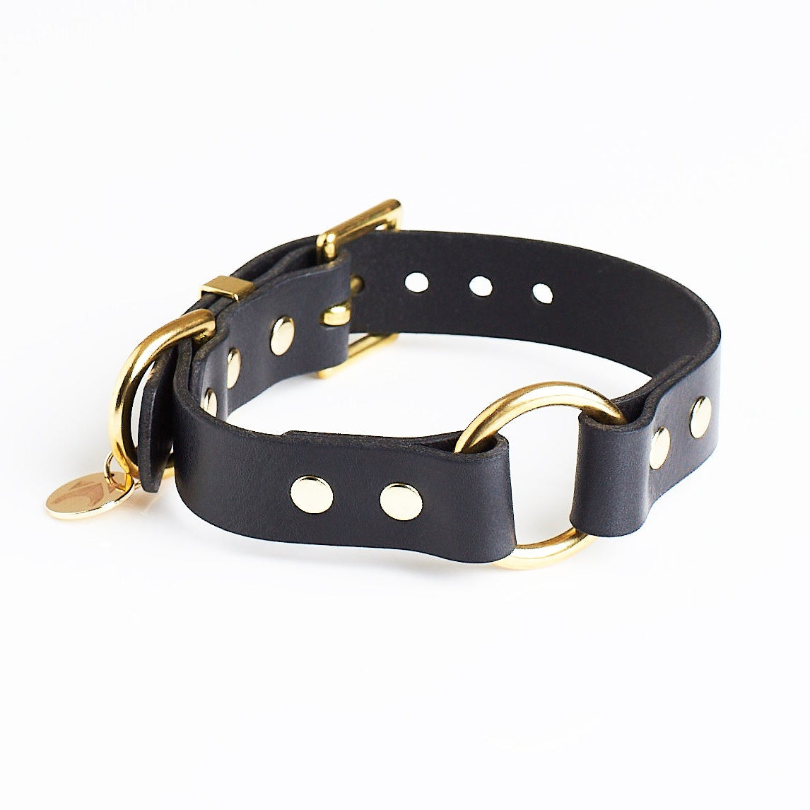 Jet black leather O Ring Collar with brass hardware on a white background