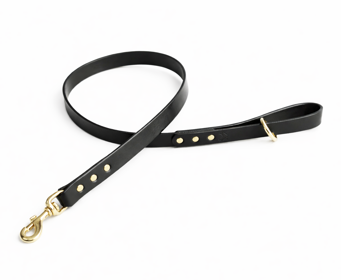 Black leather dog lead with brass hardware on a white background