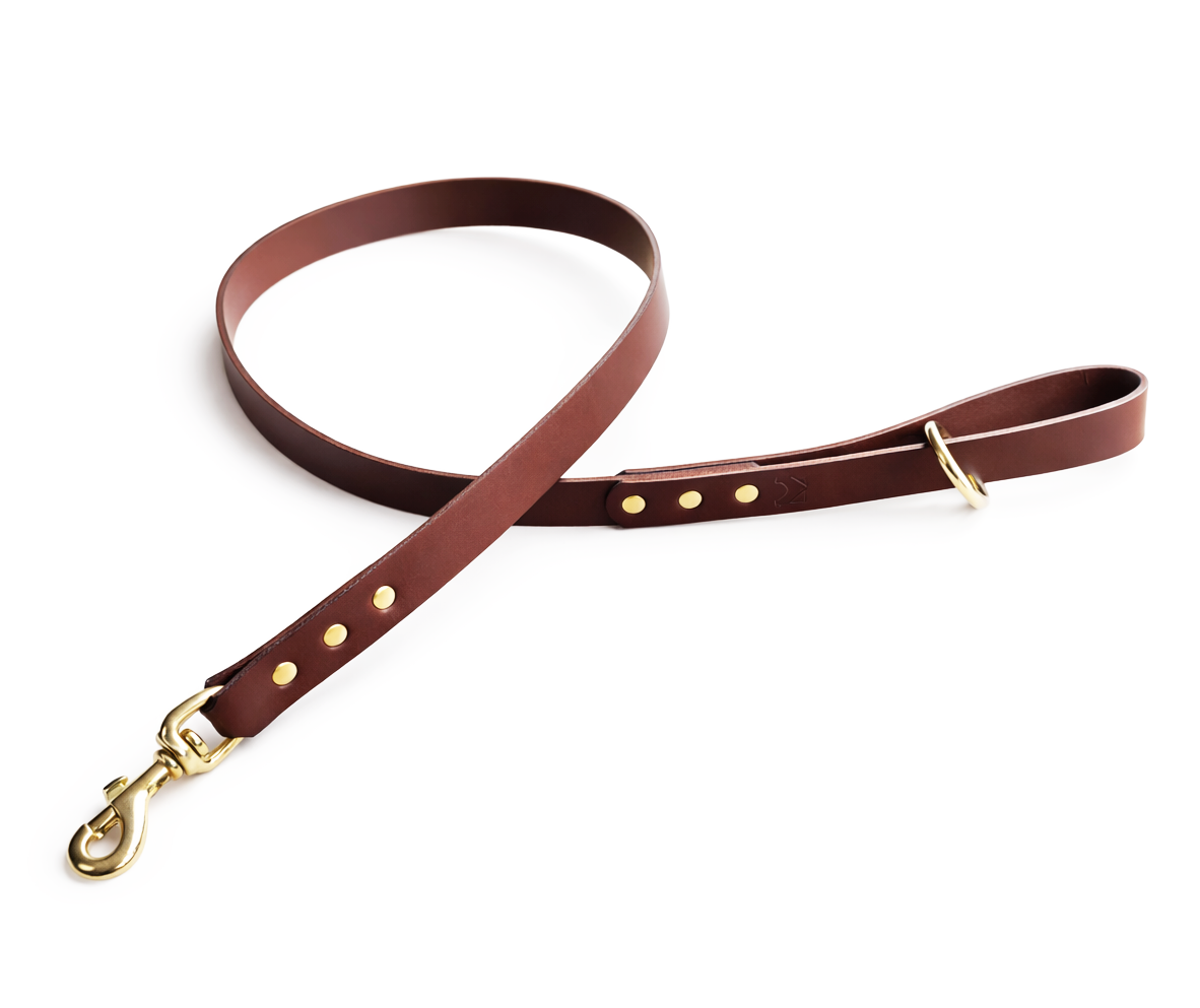Chestnut leather dog leash with brass hardware on a white background