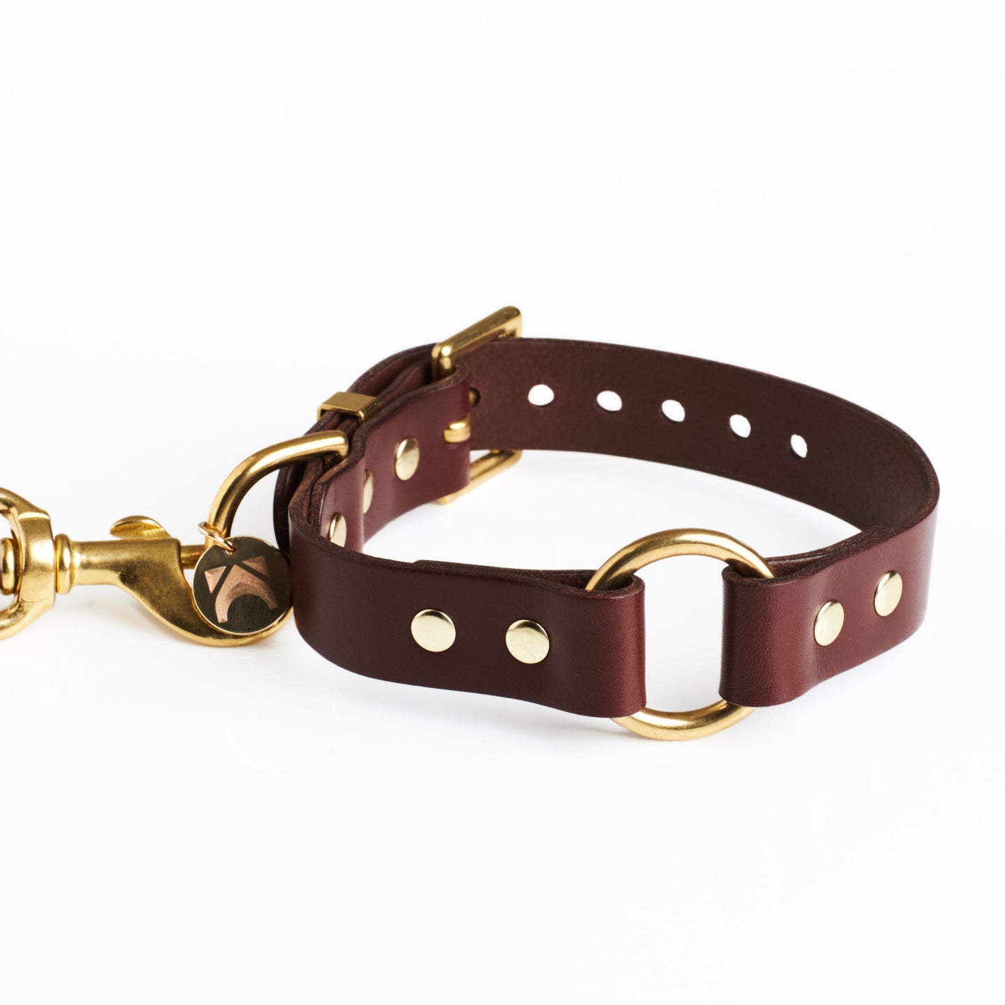 Chestnut Brown leather dog collar with solid brass hardware and a brass O Ring in the centre on a white background