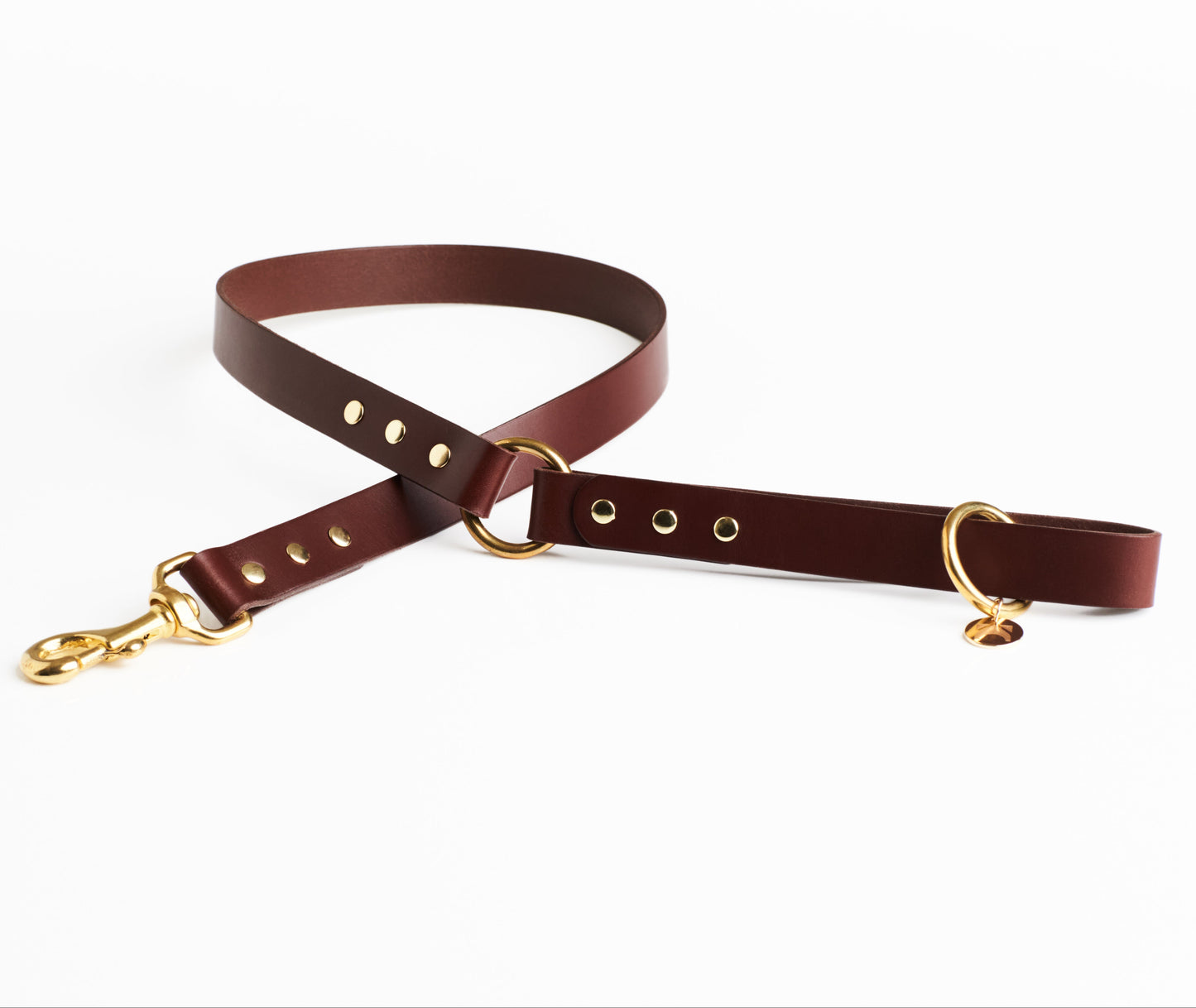 Chestnut Brown Leather Dog Lead with solid brass hardware and a connecting brass O ring against a white background