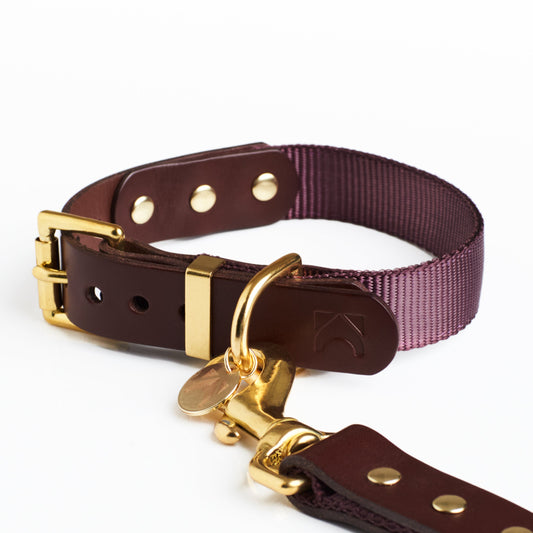 Chestnut Brown leather and Crimson fabric webbing dog collar with solid brass hardware on a white background