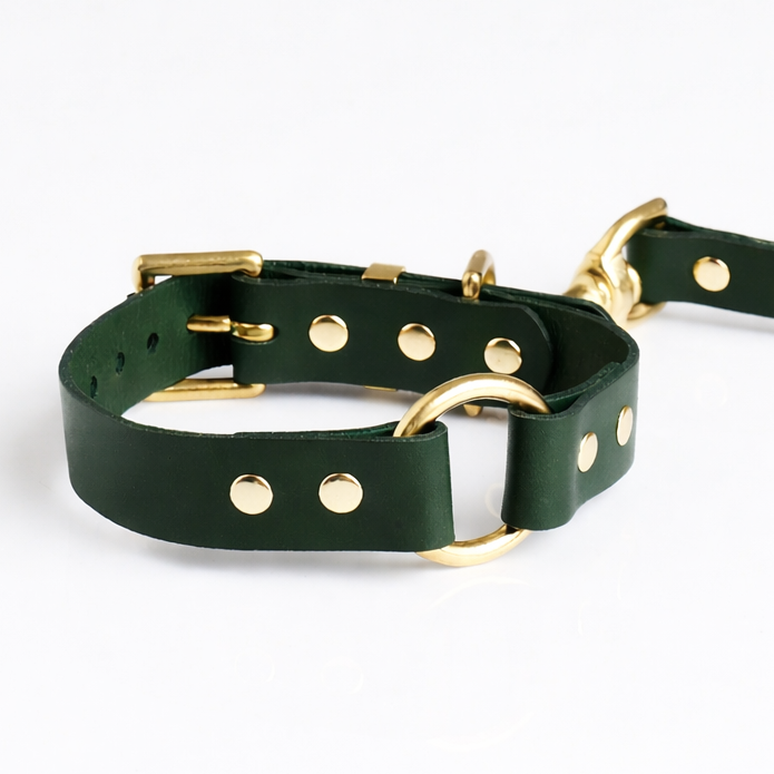 Green leather dog collar with gold hardware on a white background