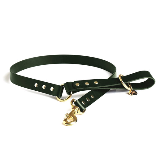 Forest Green Leather Dog Lead with solid brass hardware and a connecting brass O ring against a white background