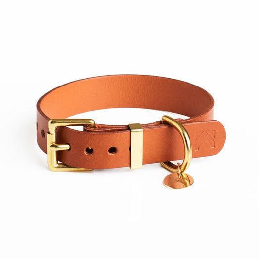 Golden Tan plain leather dog collar with a gold buckle on a white background