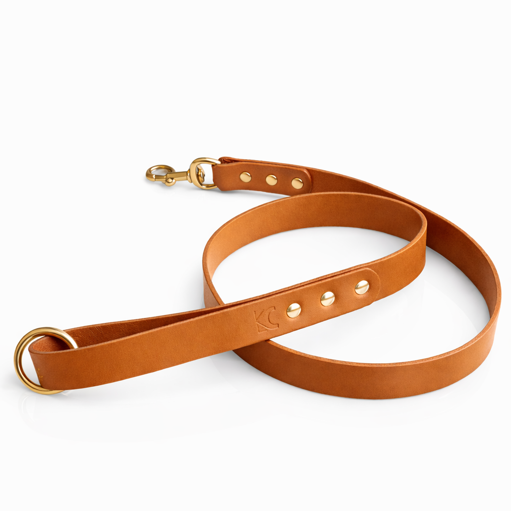 Golden Tan leather dog lead with brass hardware on a white background