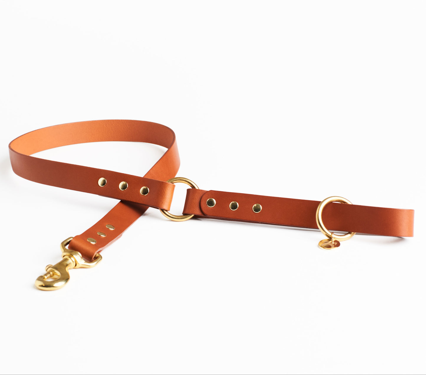 Golden Tan Leather Dog Lead with solid brass hardware and a connecting brass O ring against a white background