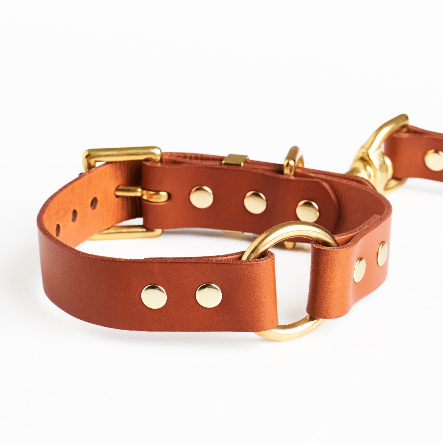 Golden Tan leather dog collar with solid brass hardware and a brass ring in the centre on a white backgroundlden 