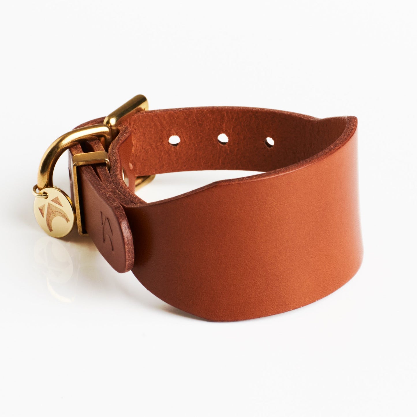 Tan brown wide sighthound collar with solid brass hardware on a white background