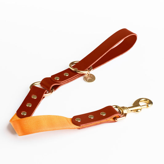 Golden Tan Leather and short length Orange fabric dog lead with solid brass hardware and a connecting brass O ring at handle.