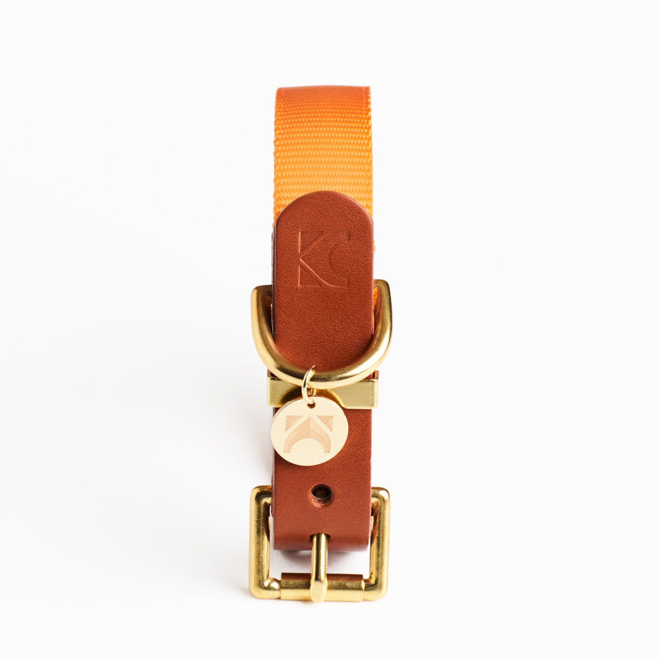 Tan leather and fabric dog collar with brass hardware against a white background