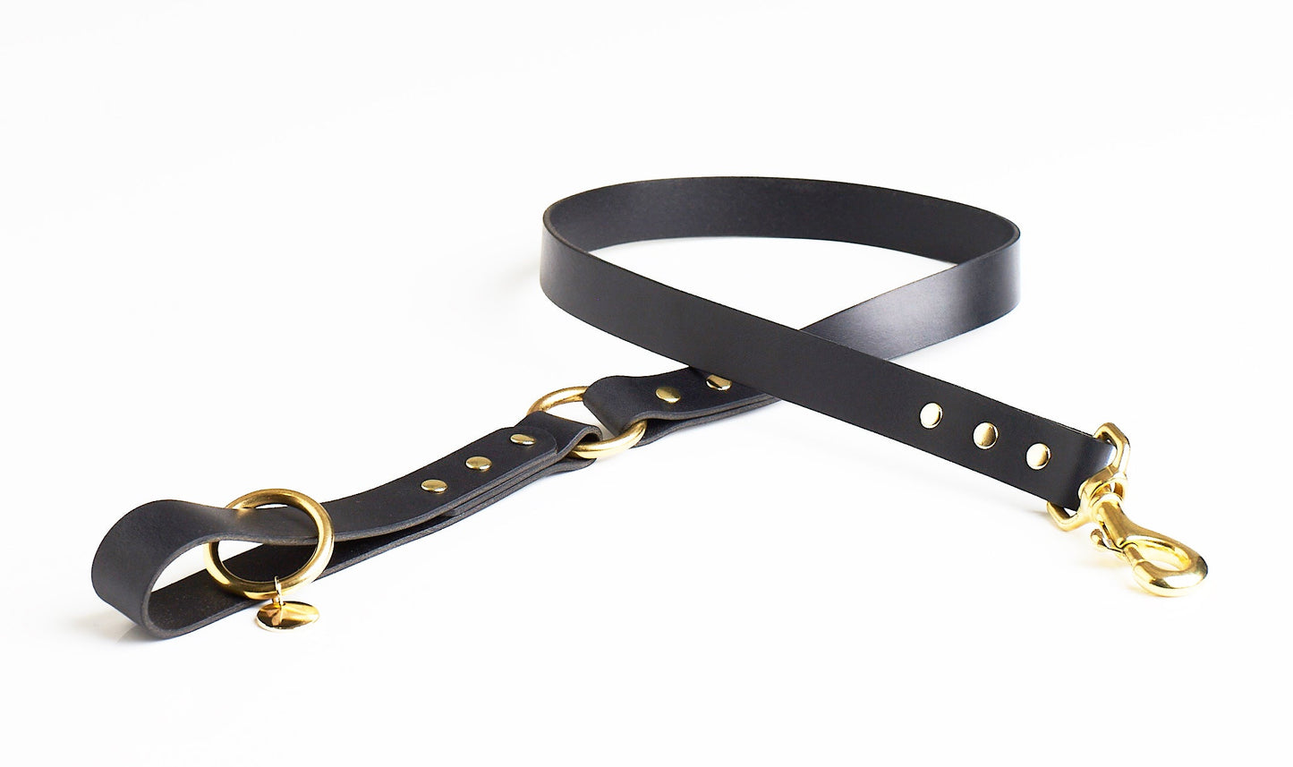 Jet black leather O ring dog lead with brass hardware on a white background