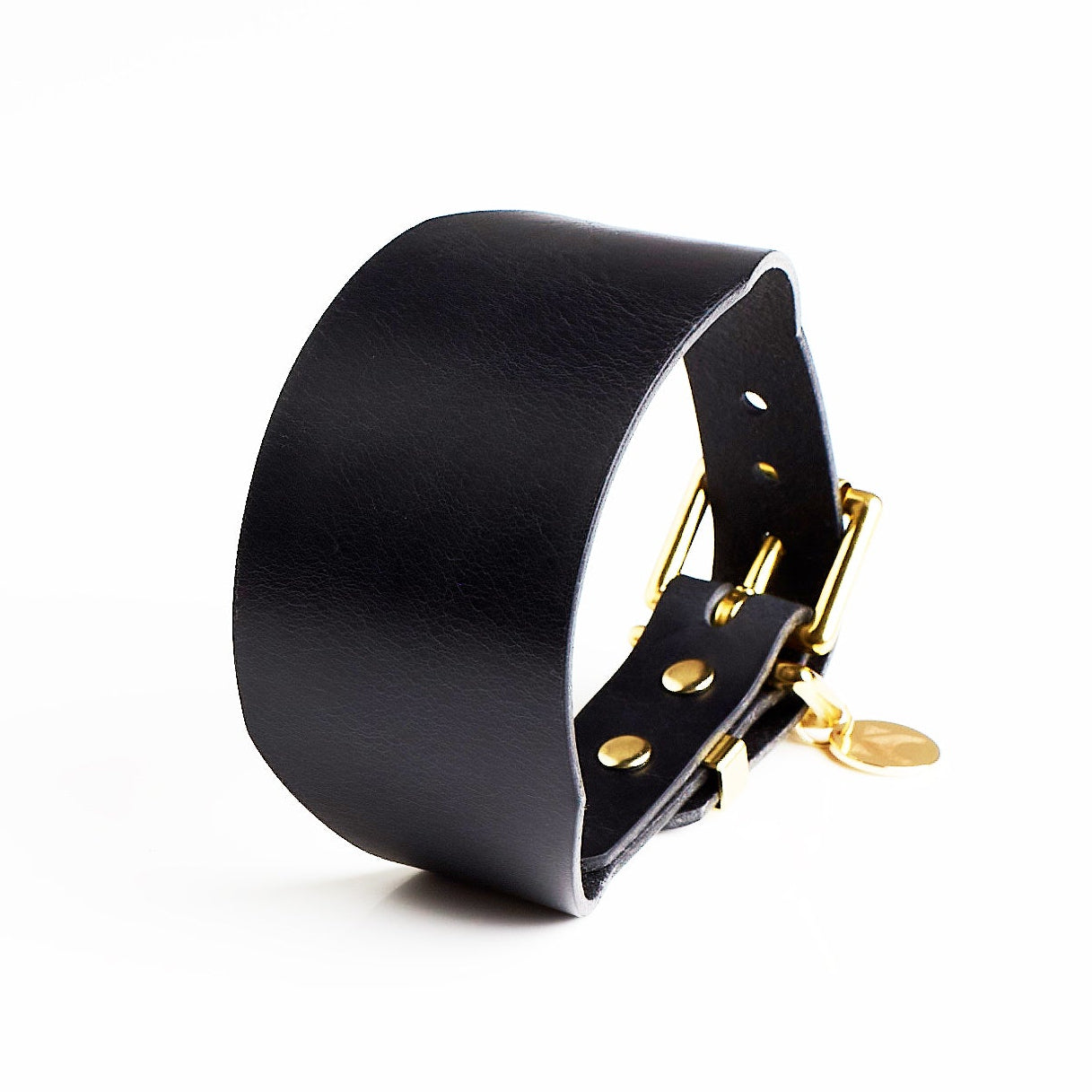 Jet black leather sighthound collar with brass hardware on a white back ground