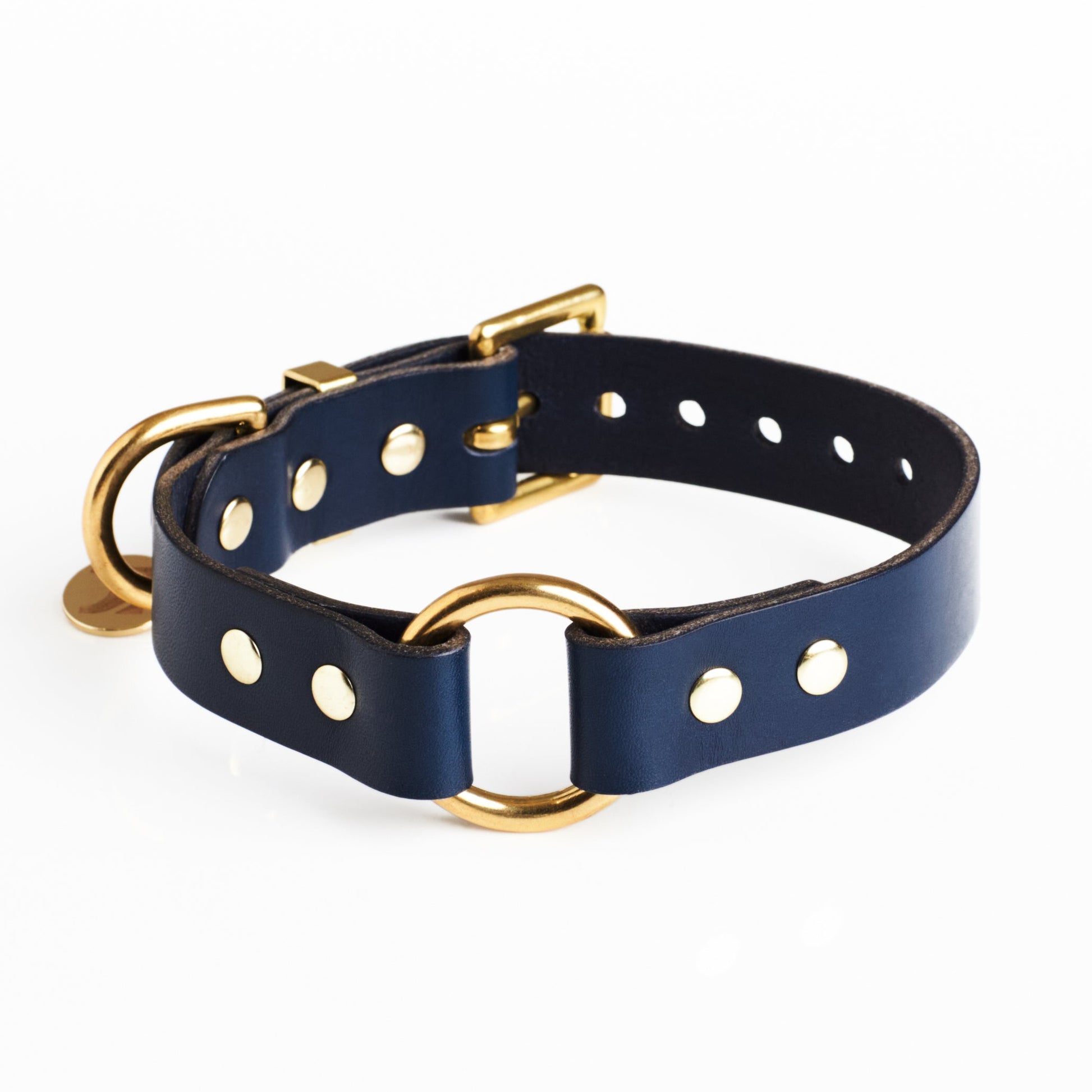 Midnight Blue leather dog collar with solid brass hardware and a brass O Ring in the centre on a white background