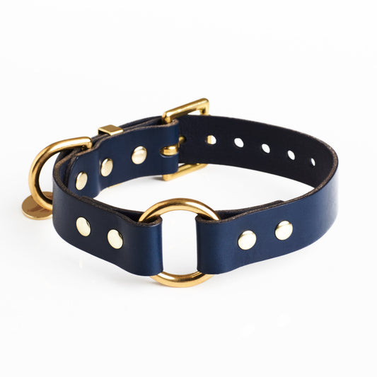 Midnight Blue leather dog collar with solid brass hardware and a brass O Ring in the centre on a white background