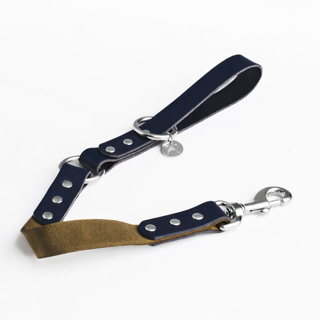 Blue and olive dog lead with silver hardware on a white background