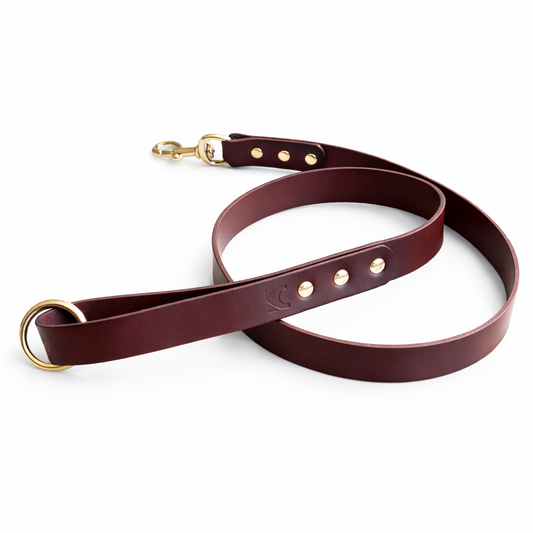 Oxblood leather dog lead with brass hardware on a white background