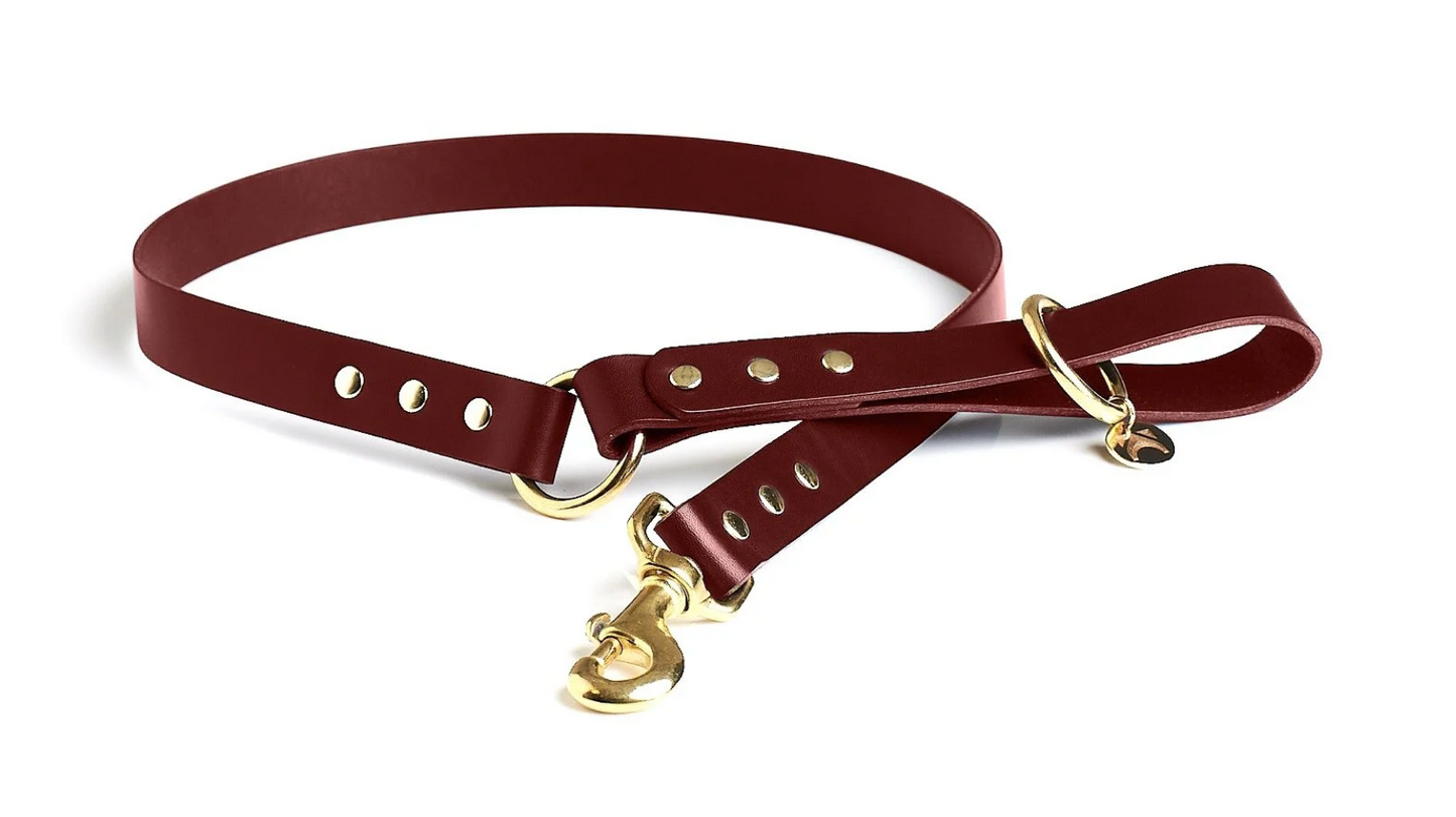 Oxblood Leather Dog Lead with solid brass hardware and a connecting brass O ring against a white background