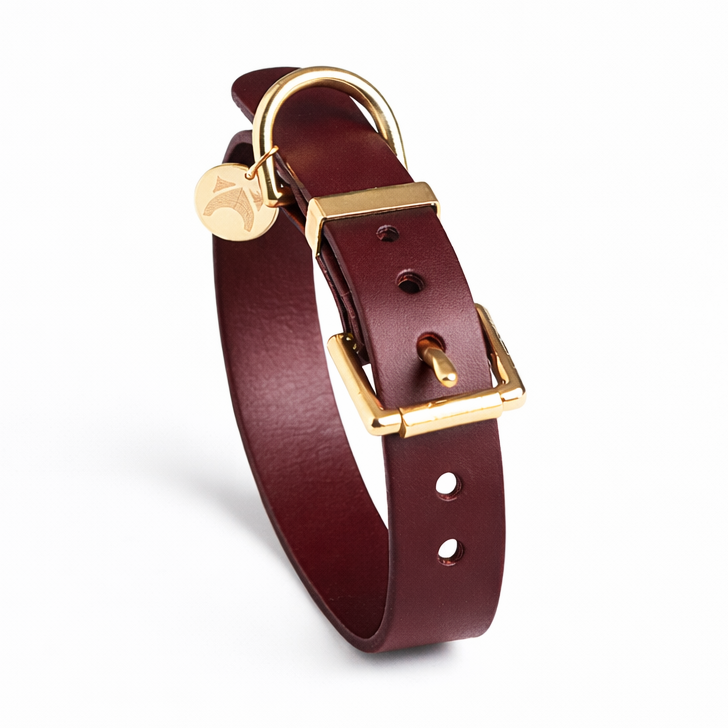 Oxblood leather dog collar with gold hardware on a white background