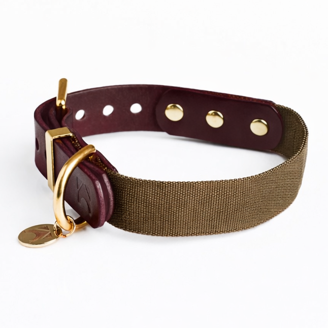Oxblood leather and Olive webbing dog collar on a white background