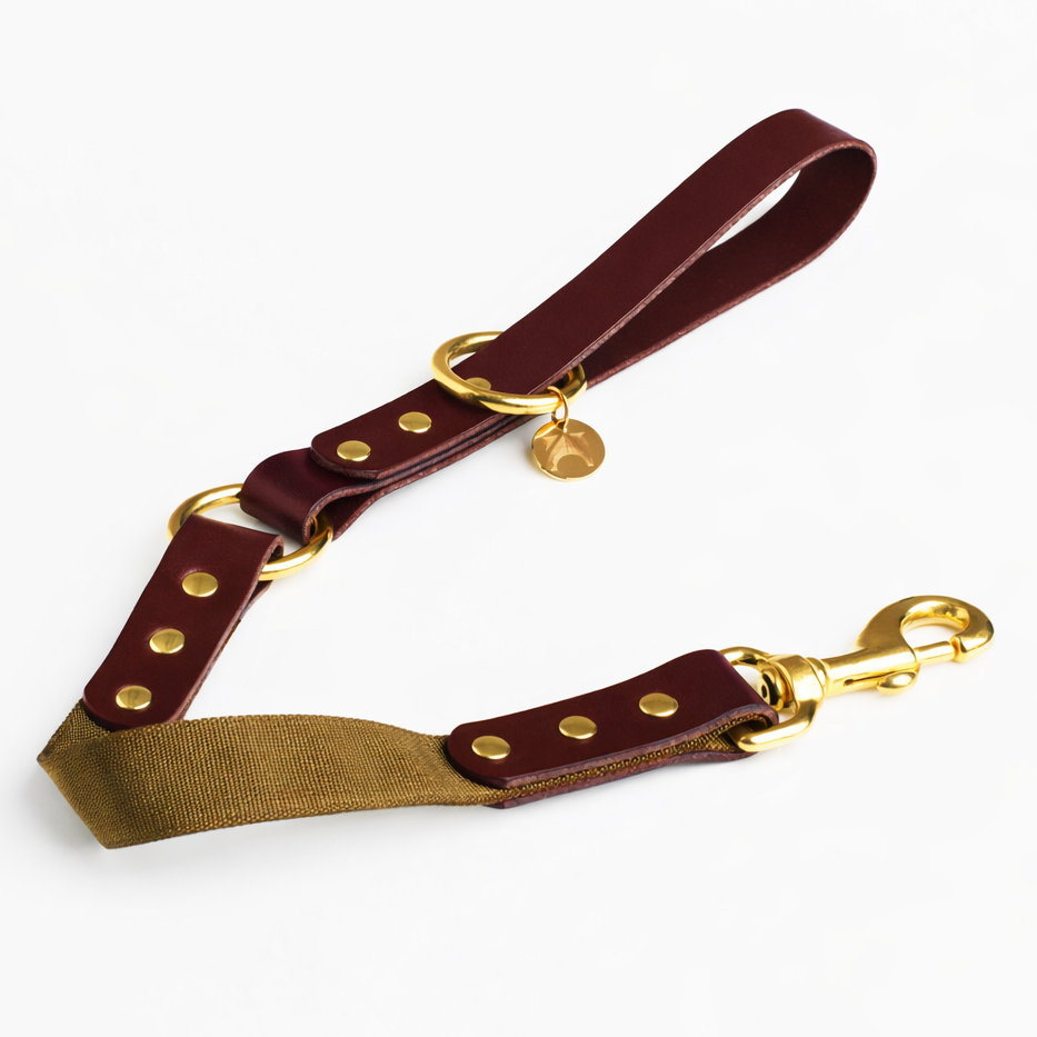 Oxblood leather and olive fabric short length lead