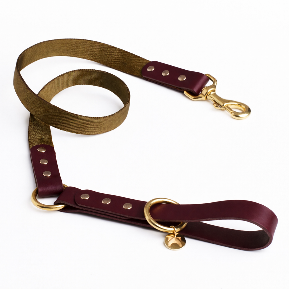Oxblood leather and olive fabric dog lead on a white background