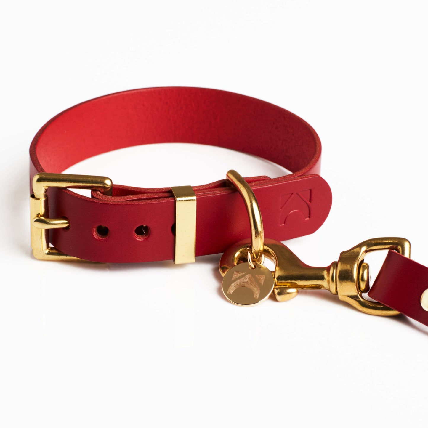 Poppy Red plain leather dog collar with solid brass hardware on a white background
