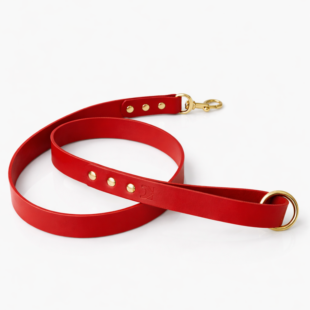 Poppy Red dog lead with brass hardware on a white background