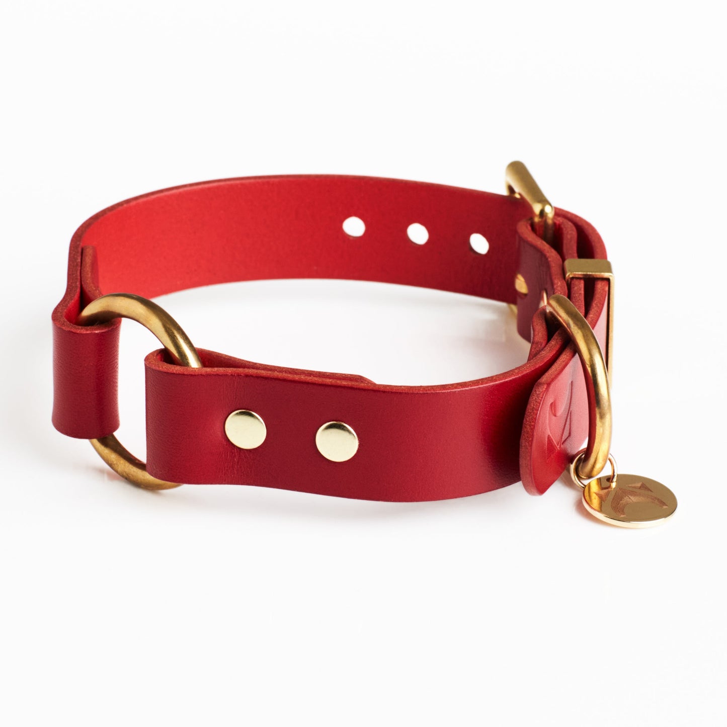 Poppy Red leather dog collar with solid brass  hardware and a brass O ring in the centre on a white background