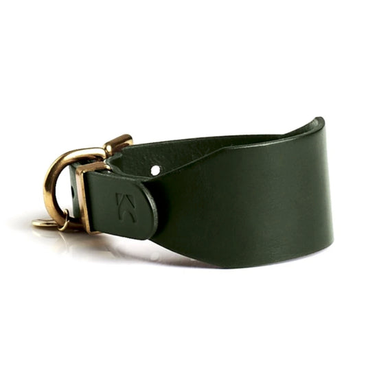 Green leather sighthound dog collar with gold buckle on a white background